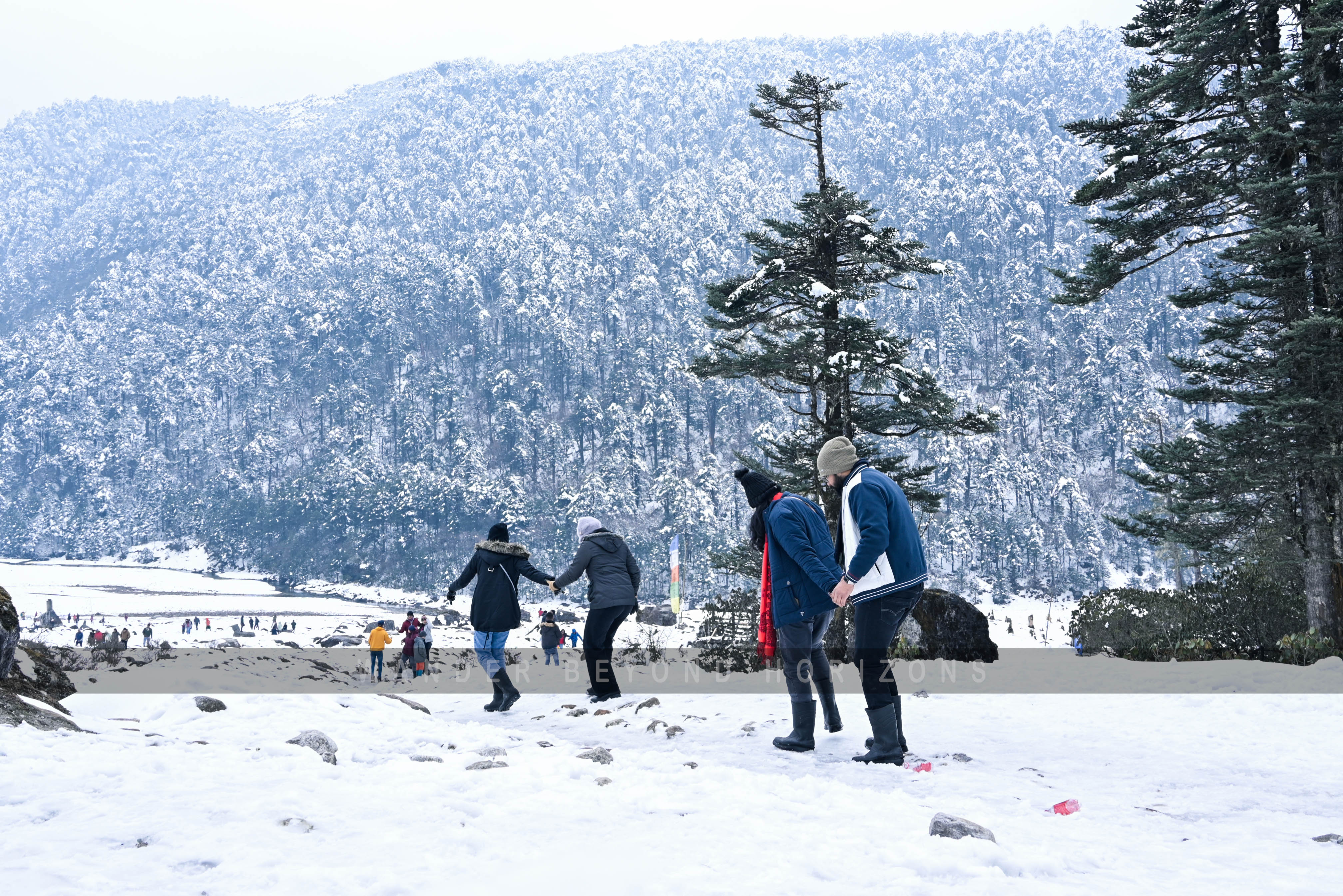 Sikkim (2).jpg